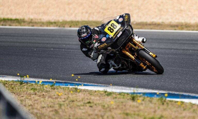 harley-carbon-fairing